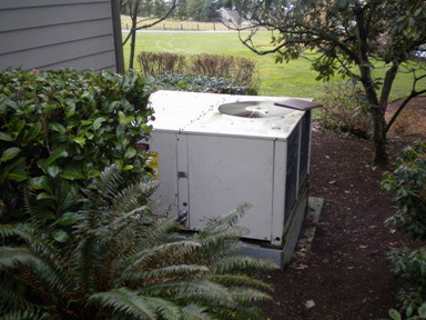 air conditioning condenser in the bushes